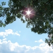 2007-08-12 (005).jpg